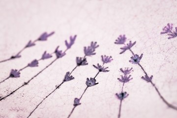 Purple violet lavender flowers pattern on light ceramics background