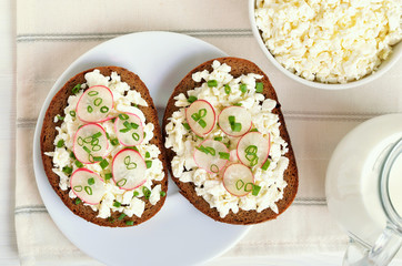 Bread with curd cheese, radish and green onion