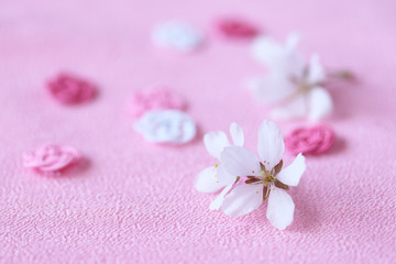 Fototapeta na wymiar 水引飾りと美しい桜の花