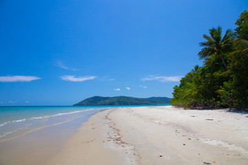 Lonely beach in paradise with a palm tree, white sand and turquoise water. Daintree National Park, Queensland, Australia.