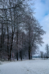 Winterlandschaft, Winter, Schnee, Frost, Weg, Feldweg, Bäume, Wald, Landschaft