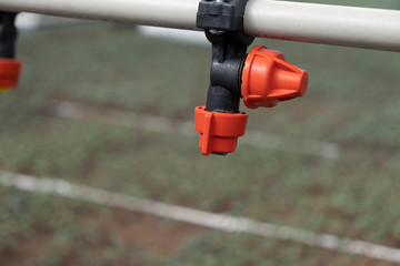 irrigation system in greenhouse