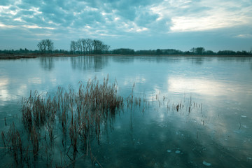 Water canes in the frozen lake, trees on the horizon and clouds