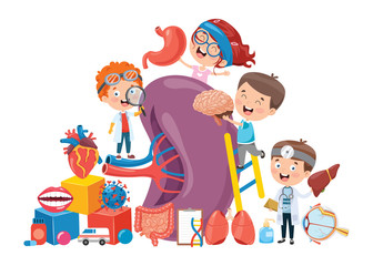 Cartoon Concept Of Human Organs