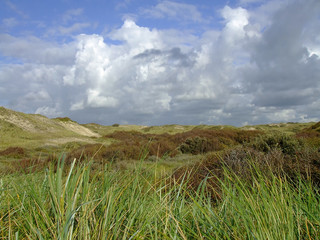 See, Strand, Himmel, Woken, Küste, Dünen