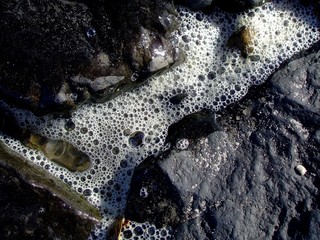 Ufer, See, Meer, Muschel, Küste