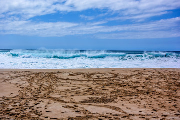 Beautiful beach with big waves in Hawaii