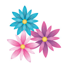 beautiful flowers garden decorative icon