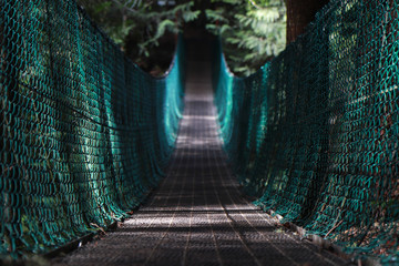 Suspension Bridge into Green Forest