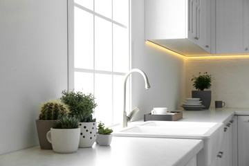 Beautiful houseplants near sink in stylish kitchen interior