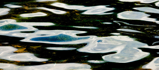 Reflections in the pond 11