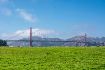 golden gate bridge and summer meadow