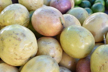 mango on black background