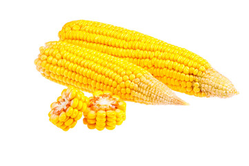 Ripe corn on the cob on a white background