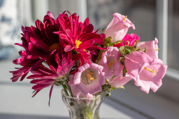 Fototapeta na wymiar Flowers in a Vase