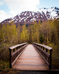 Alaska Mountains