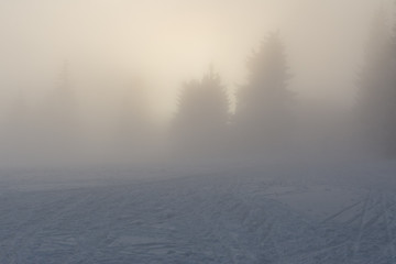 Fototapeta na wymiar winter snowy landscape in dense fog