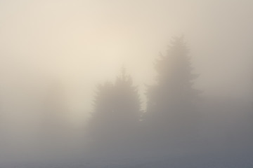 Fototapeta na wymiar winter snowy landscape in dense fog
