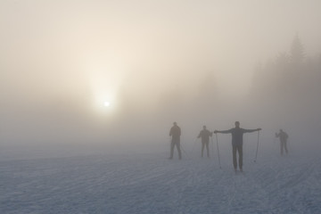 cross country skiers in dense fog, winter snowy landscape