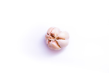 garlic is isolated white background and copy space