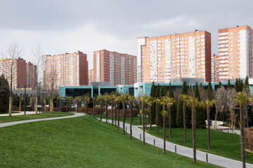 Palm Avenue leads to high-rise buildings. A modern city and various tropical and equatorial vegetation.