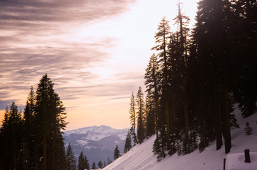 View of Trinity Alps from Mt. Shasta California