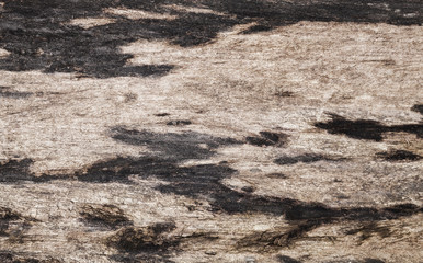 Old weathered wooden board with black spots