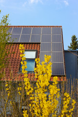 rooftop with solar panels and yellow flowers