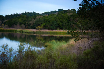 Fototapeta premium Lafayette Reservoir