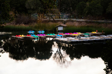 Pedal boats at Lafayette Reservoir