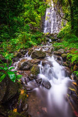 A Beautiful Waterfall in Hawaii