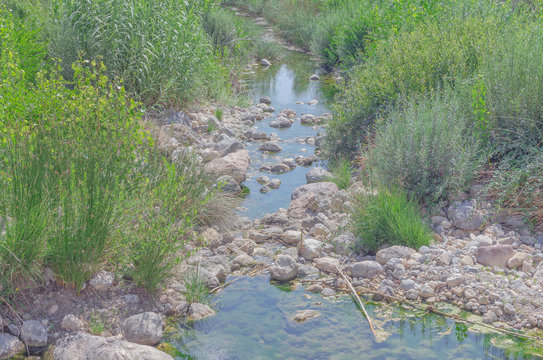Mijares river, as it passes through the thermal village of Montanejos (Castellon - Spain). Reeds and green plants on both banks. Summer sunny day.