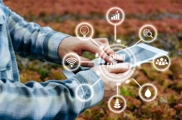 agronomist using mobile tablet computer analysis data development with visual icon in hydroponic greenhouse garden nursery farm, smart farming, digital technology and agricultural innovation concept