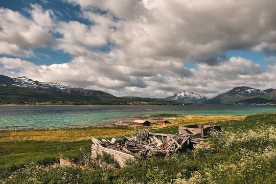 beautiful colorful view of kafjord with flowers and green sea and ancien huts
