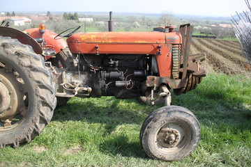 Obraz premium Young fruit trees and tractor for plantation