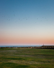 Warm sunset over the grassy dunes in winter