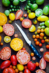 Fresh organic multi-colored tomatoes with knife