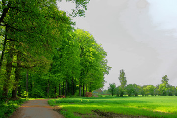 Bäume, Landschaft