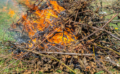 Fire and Smoke from during Burning of garden branches