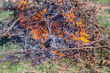 Fire and Smoke from during Burning of garden branches
