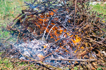 Fire and Smoke from during Burning of garden branches
