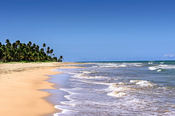 Bahia Beach in Puerto Rico
