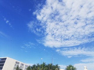 Formas dentro de las Nubes 