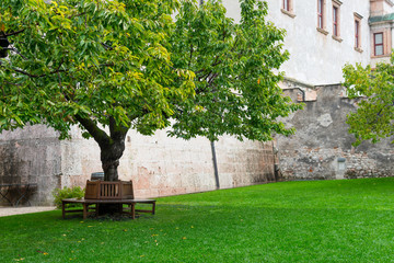 Fototapeta na wymiar A cherry tree stands in a courtyard of a historic castle. A bench is built around the trunk of the tree. The grass and leaves are lush green.
