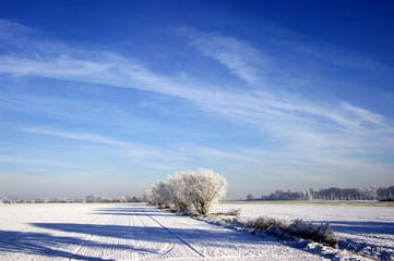 Winterlandschaft, Schnee, Frost, Landschaft, Himmel, 