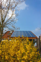 rooftop with solar panels and yellow flowers