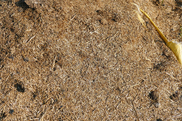 people pollute the environment they live in, rotten straw residues,