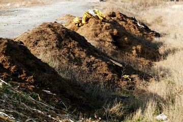 people pollute the environment they live in, rotten straw residues,
