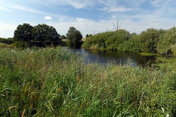 Schilfsee in Mecklenburg-Vorpommern