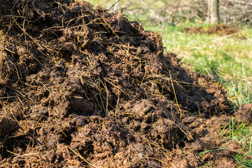 Piles of cow manure on the farm to fertilize the ground